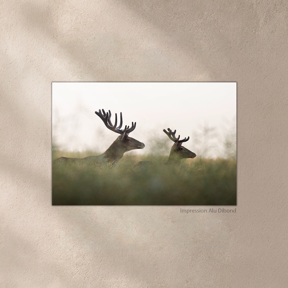 Même regard – Image 4