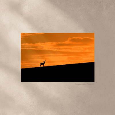 Silhouette