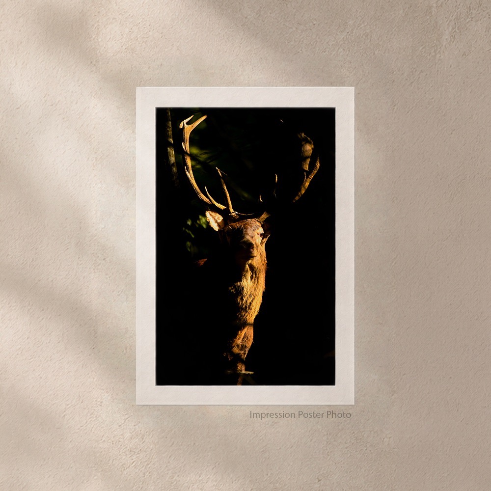 Ombres et Lumières – Image 3